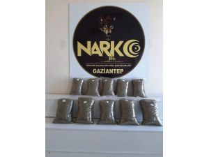 Gaziantep’te 10 Kilo Bonzai Yakalandı