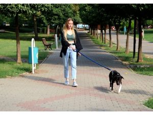 Darp Edilen Ukraynalı Genç Kızı Kurtarmak İsterken Bıçaklandı
