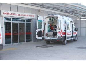 Ceviz Ağacında Kalp Krizi Geçirip Yere Düşen Kişi Hayatını Kaybetti