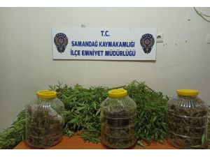 Uyuşturucuyu Turşu Bidonlarında Saklamış
