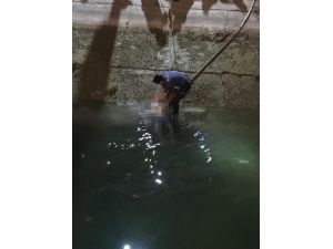 Kanalda Erkek Cesedi Bulundu