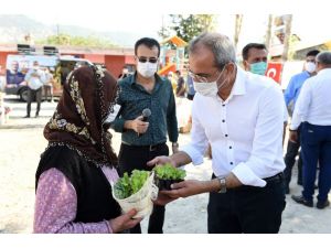 Tarsus’ta Ata Mirası Yerli Tohumlar Köylülere Dağıtılıyor