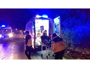 Hayvan Yüklü Kamyon Devrildi: 2 Kişi Yaralandı, 8 Hayvan Telef Oldu