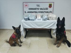 Kuru Üzüm Ve Dut Çuvallarından Uyuşturucu Çıktı