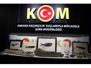 Başkent’te Adnan Oktar Örgütüne 10 Milyon Dolarlık Fosil Kaçakçılığı Operasyonu