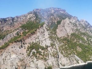 Kahramanmaraş’ta 1 Hektar Ormanlık Alan Yandı