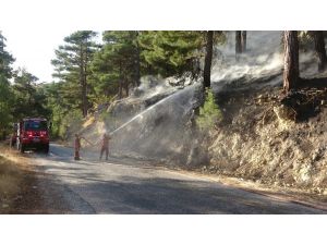 Mersin’de 1,5 Hektar Kızılçam Ormanı Zarar Gördü