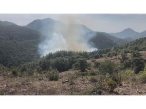 Adana’da Orman Yangını