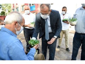 Tarsus Belediyesi Gen Bankasında Ata Tohumu Sayısı 20 Milyona Ulaştı