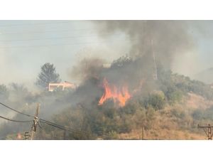 Hatay’daki Orman Yangını Yerleşim Yerlerine Sıçradı