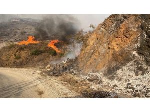 Adana’daki Orman Yangınına Müdahale Sürüyor