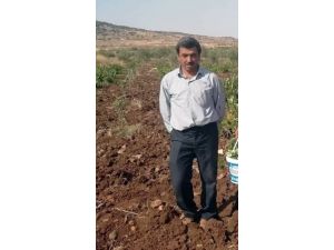 Devrilen Traktörün Altında Kalan Sürücü Hayatını Kaybetti