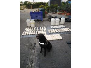 Ankara Narkotik Polisi 70 Kilo Eroin Ele Geçirdi