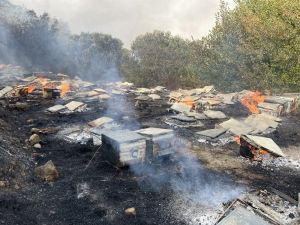 Samandağ’daki Yangında Arı Kovanları Kül Oldu