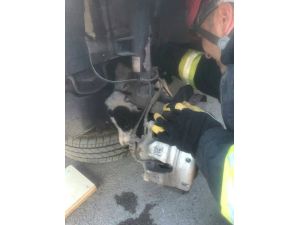 Aracın Tekerliğinde Sıkışan Köpeği İtfaiye Kurtardı
