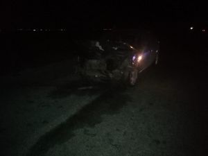 Otomobil Koyun Sürüsüne Daldı, 30 Koyun Telef Oldu