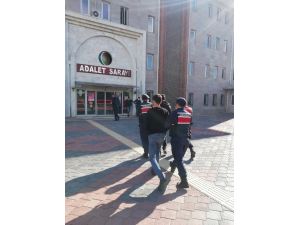 Isparta’da Çaldıkları Keçileri Burdur’da Sattılar