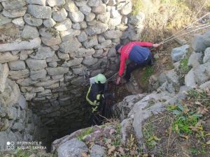 Aç Kalan Tilki İndiği Mahallede Kuyuya Düştü