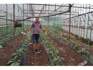 Kumluca’da fırtına sonrası arazi hasar tespiti çalışmaları tamamlandı