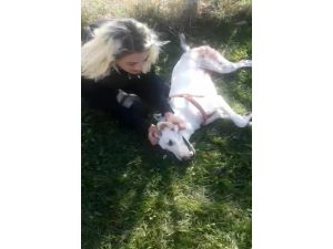 Tüfekle Vurulan Köpeğine Sarılarak Böyle Feryat Etti