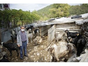 Gündoğmuş’ta üreticilere eğitim verildi