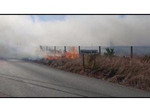 Antalya’da aynı gün içerisinde çıkan 3 ayrı yangında 10 dönümün üzerinde alan yandı