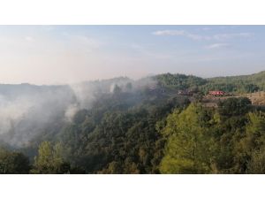 Manavgat’ta orman yangını