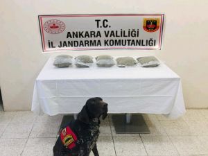 Jandarma Adım Adım Takip Etti, Uyuşturucu Tacirini Otobüste Yakaladı