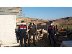 Ankara’da Kaybolan Çoban Ve Koyunlar Drone İle Bulundu