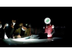 Ruhsatsız Av Tüfeğiyle Avlanan Avcıya 2 Bin 89 Lira Ceza