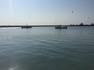 Tanker İle Çarpışan Taknedeki 5 Kişiden 4’ünün Cansız Bedeni Bulundu