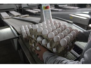 Irak Krizinde Dip Yapan Yumurta Fiyatı Pandemi Sürecinde Arttı