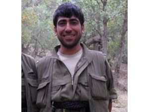 Mit’ten Eylem Hazırlığındaki Pkk’lıya Operasyon