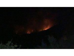Hatay’daki Orman Yangını Kontrol Altına Alındı