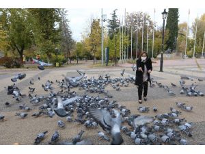 Fatma Şahin Sokaktaki Hayvanları Besledi