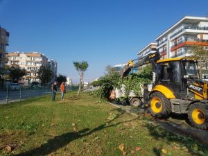 Kent merkezinde kapsamlı bakım-onarım