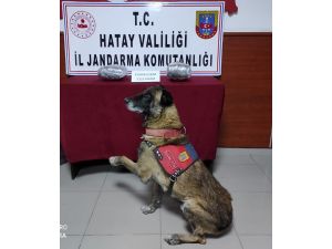 Şüpheli Otomobilden Uyuşturucu Çıktı
