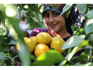 Dalında 1,5 Markette 8 Lira
