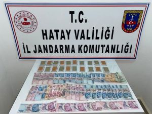Hatay’da Jandarmadan Kumar Operasyonu