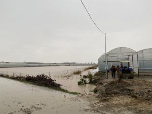 Antalya’da 3 ev sular altında kaldı, mahsur kalanları itfaiye kurtardı