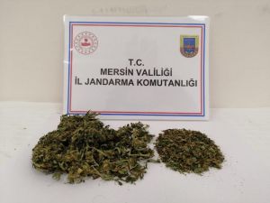 Silifke’de Uyuşturucu Kullanan 1 Kişi Yakalandı