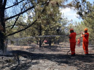 Antalya’da Termessos Milli Parkı yakınlarında orman yangını