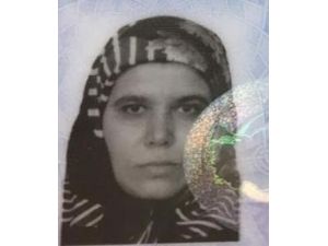 Alanya’da ağaçtan düşen kadın öldü