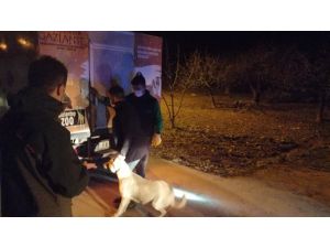 Jandarmadan Köpek Dövüşüne Baskın