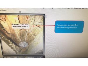 Yılbaşında Eylem Hazırlığındaki Deaş Üyesi Teröristler Yakalandı