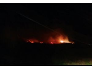 Hatay’da 4 Ayrı Noktada Yangın