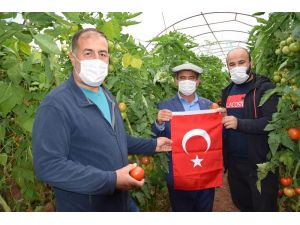 Başpehlivanlar domatese sahip çıktı