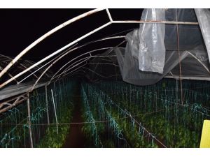 Antalya’da hortum seraları vurdu