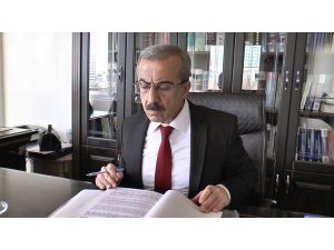 Kargoda Kaybolan Kedi İçin Tazminat