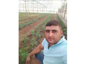 Baraja düşen araç alev aldı, sürücü hayatını kaybetti